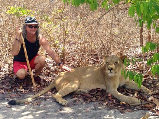 Walking with Lions