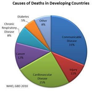 causeofdeathdevelopingcountries