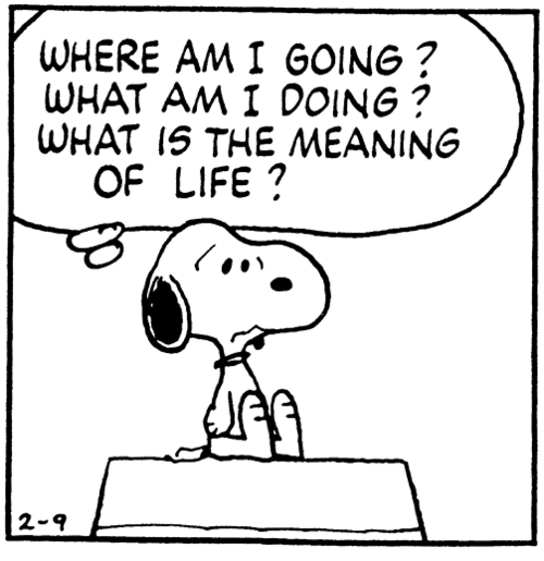snoopy meaning of life